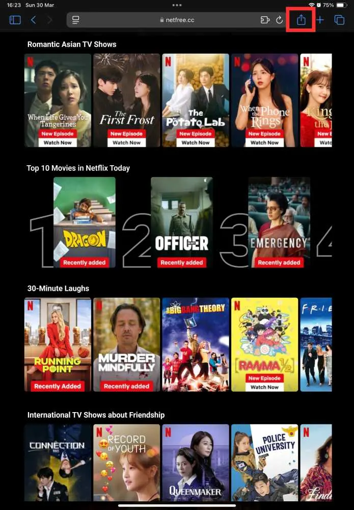 NetMirror APK iOS 1