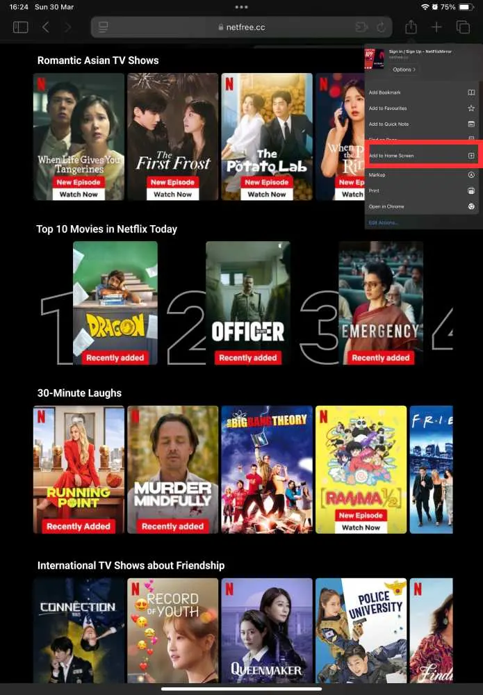 NetMirror APK iOS 2