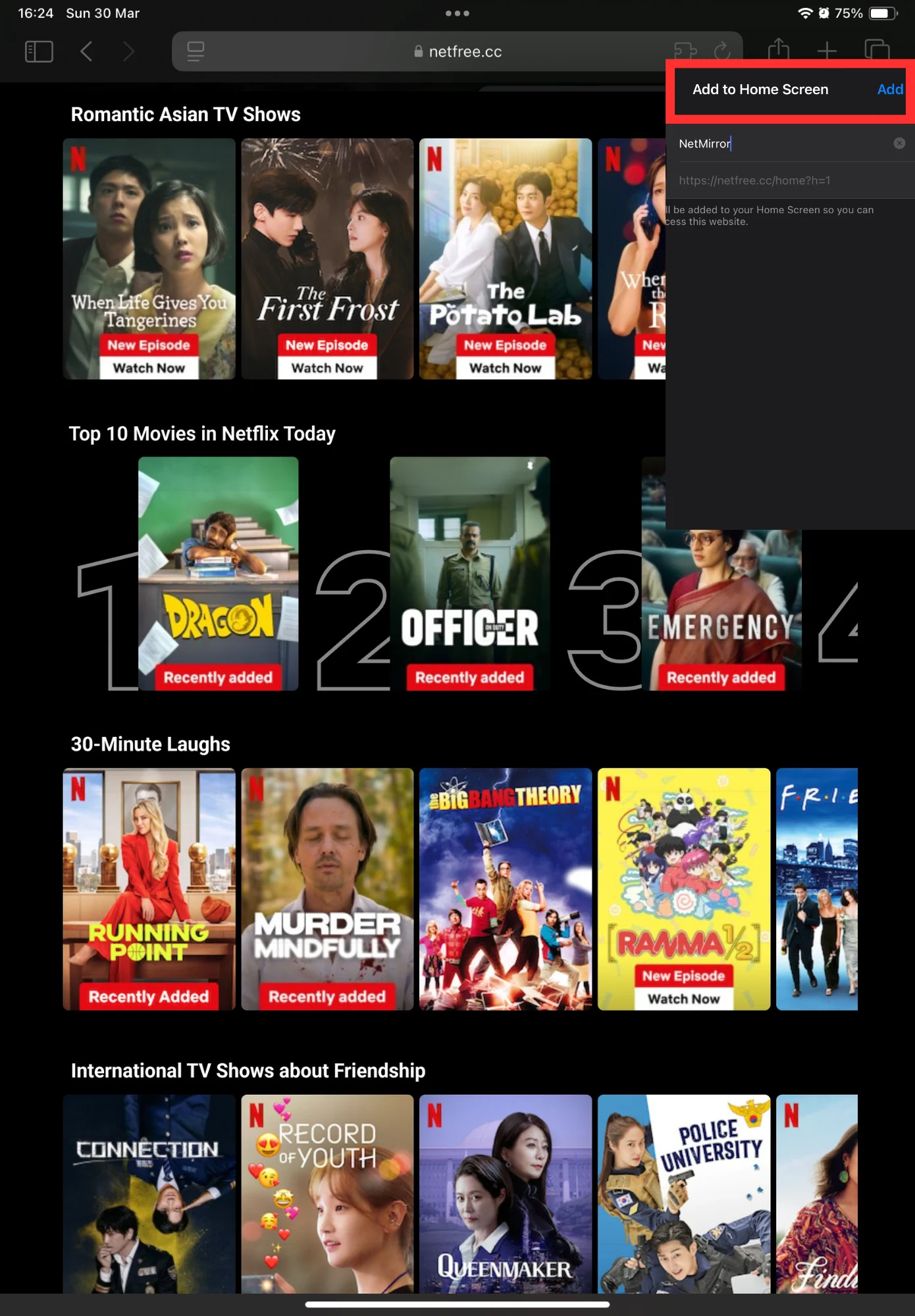 NetMirror APK iOS 3