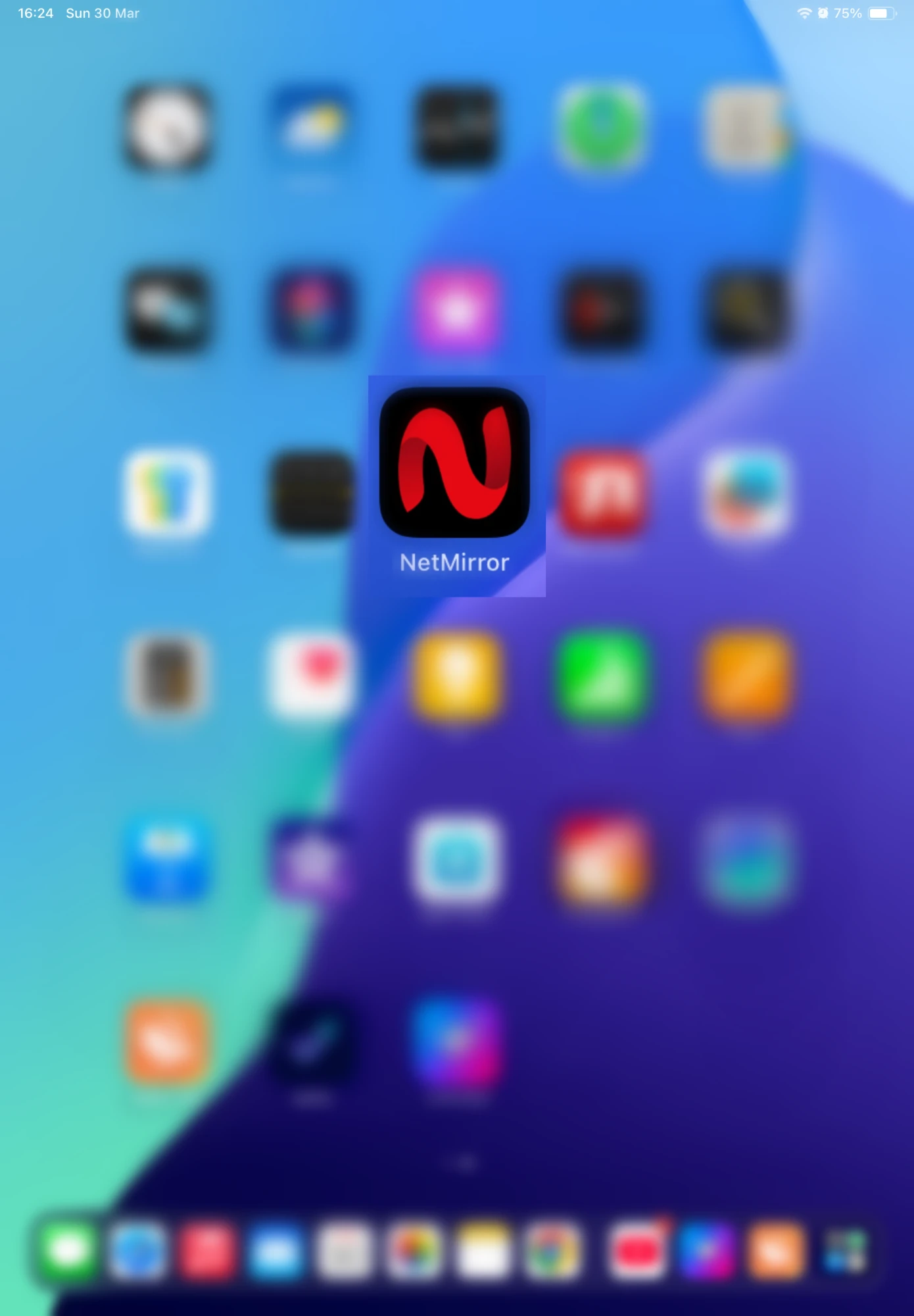 NetMirror APK iOS 4