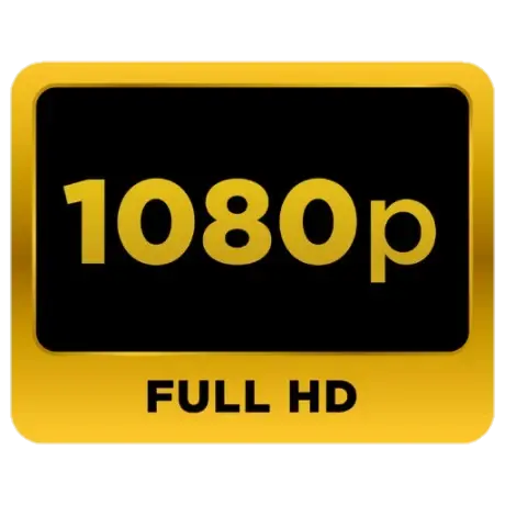 High-Quality Video Support
